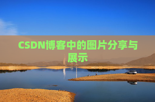 CSDN博客中的图片分享与展示